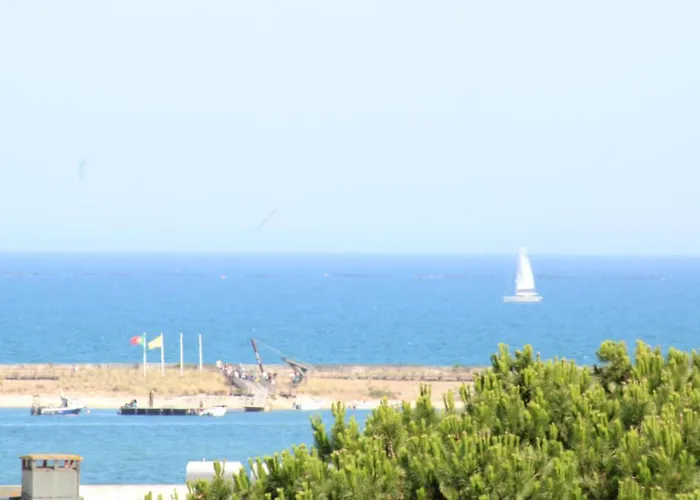 ホームステイ White Bride Fz フゼタ